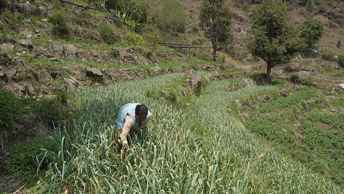 farmer fedi.jpg